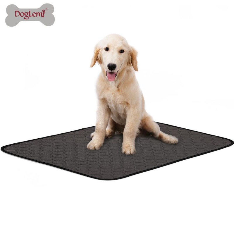Dog Training Pad Factory - Anti-Slip Breathable Washable