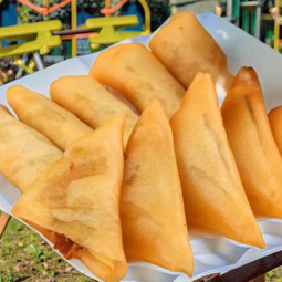 IQF Frozen Vegetable Samosas Manufacturer - Chinese Snack Type Spring Rolls