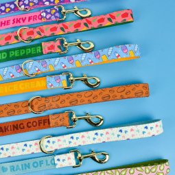 Pet Walking Leash Manufacturer - OEM Polyester Double-Sided