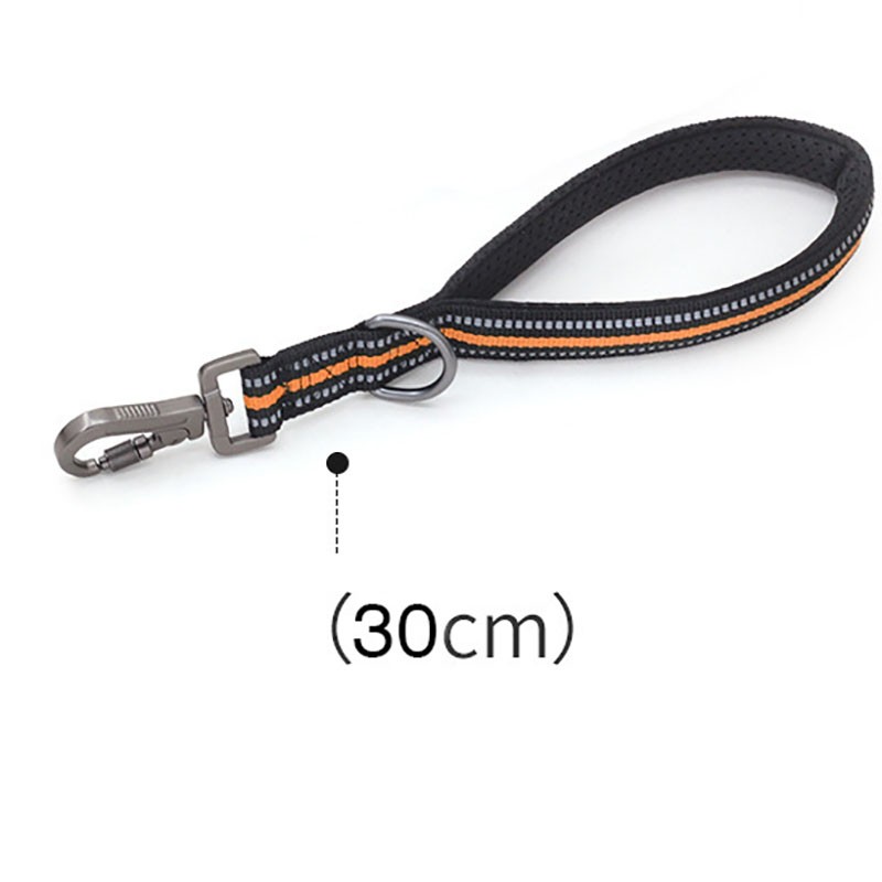 Dog Leash Manufacturer - OEM High Quality Reflective Safety