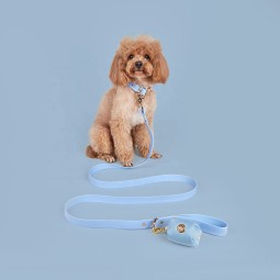 Pet Collar Set Manufacturer - OEM PVC Waterproof Quick Release
