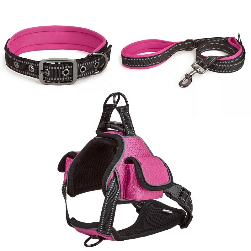 Pet Harness Set Manufacturer - OEM Solid Pattern Collar Leash