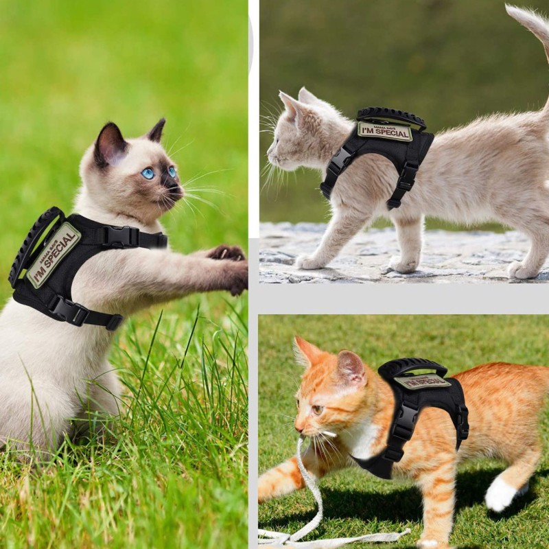 Cat Harness Factory - OEM Adjustable Cotton Chest Strap