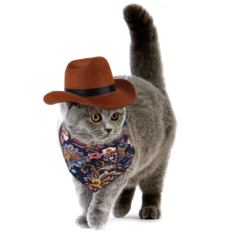 Pet Hat Manufacturer - OEM Adjustable Halloween Cowboy