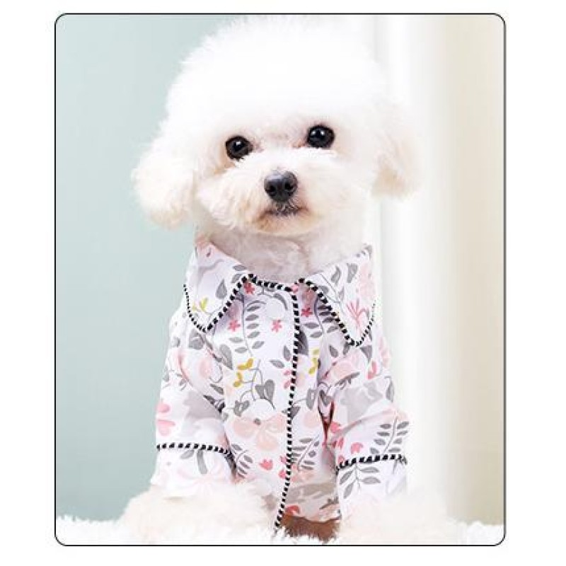 Pet Pajamas Manufacturer - OEM Cloth Fashion Outdoor Walking