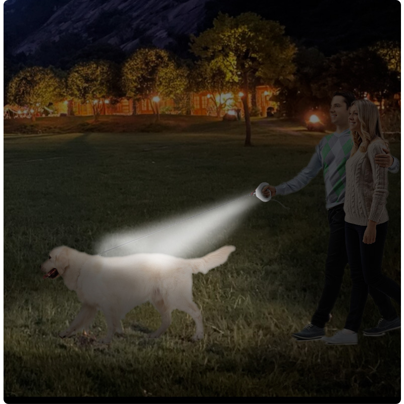 Dog Walking Leash Factory - OEM Multi-Function Retractable LED
