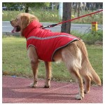 Pet Outdoor Apparel Accessories
