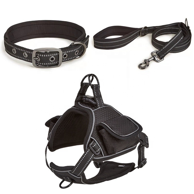 Pet Harness Set Manufacturer - OEM Solid Pattern Collar Leash