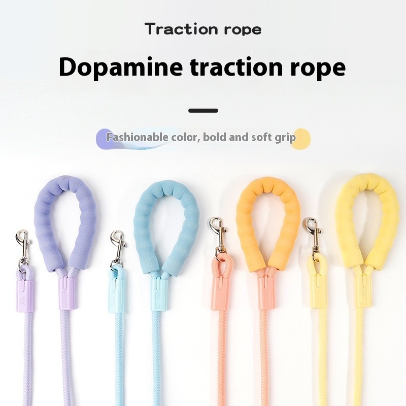 Pet Leash Manufacturer - OEM Solid Anti-Slip Nylon Material