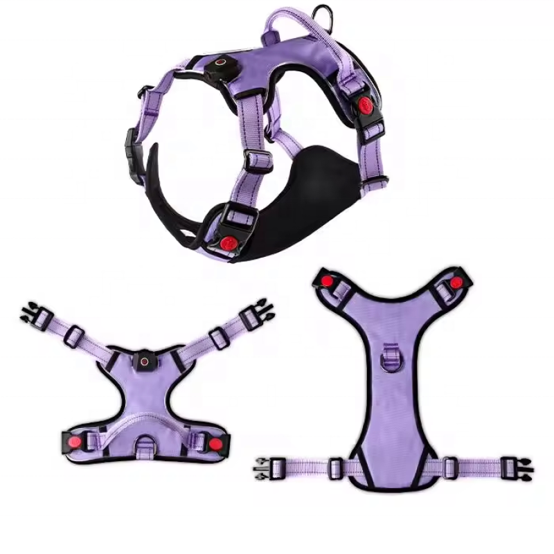 Pet Harness Set Manufacturer - OEM Custom Camouflage LED