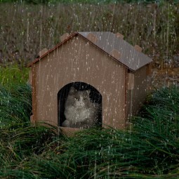 Pet Shelter Manufacturer - Foldable Outdoor Waterproof Stray