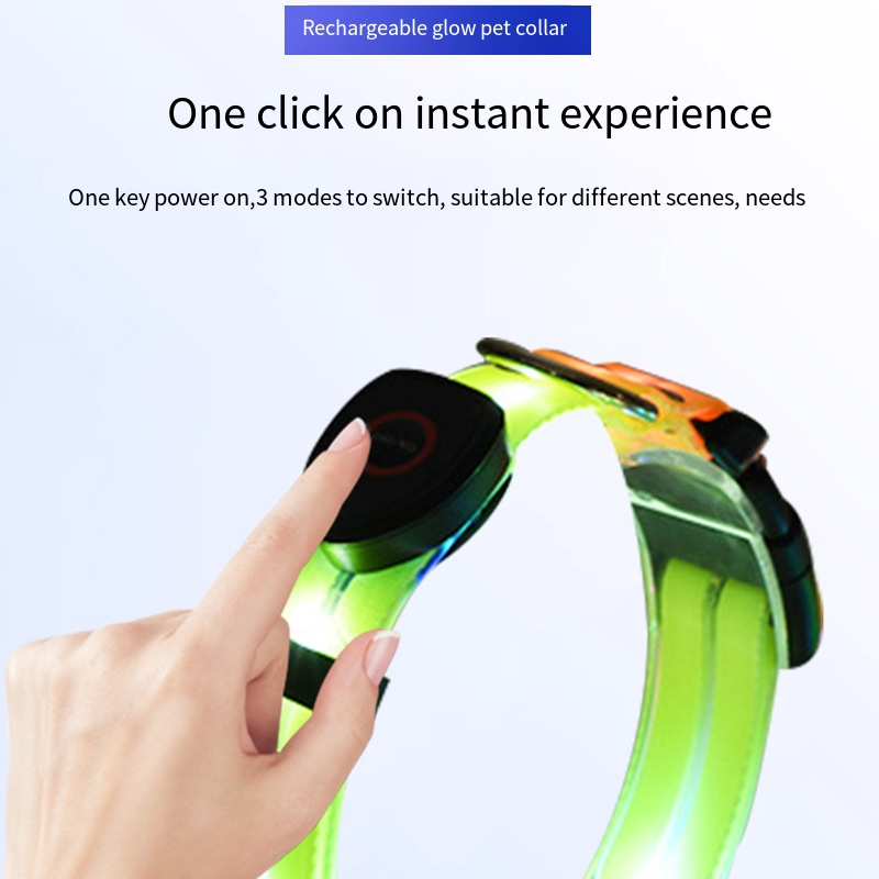Dog Safety Collar Supplier - Waterproof USB Rechargeable Night