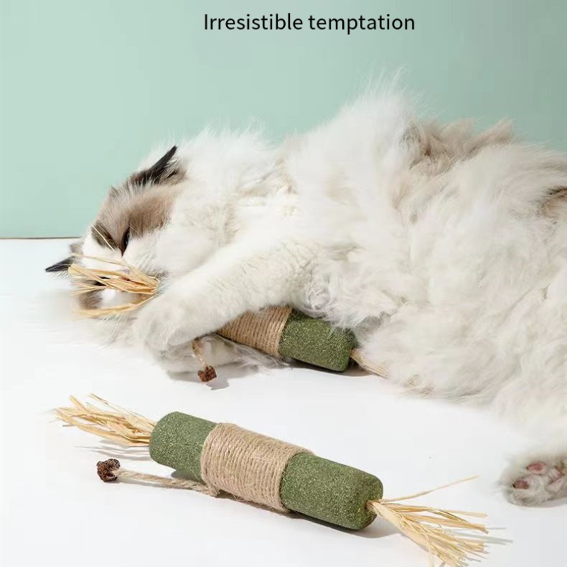 Pet Teeth Grinding Stick Manufacturer - Natural Wood Biting Interactive