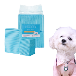 Pet Diaper Supplier - Disposable High SPA Content Isolation