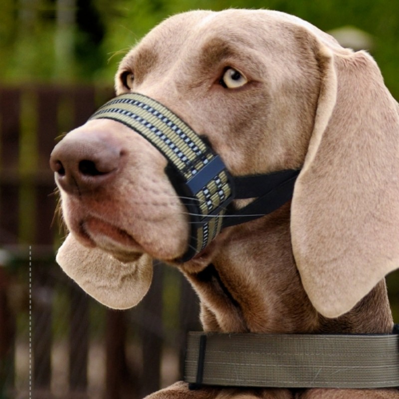 Horse Bridle Factory - Full Braided Swivel Hook