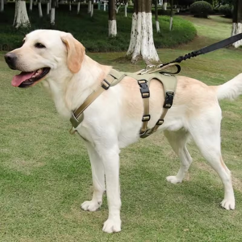 Bird Spike Supplier - 50cm Stainless Steel Pigeon Control