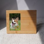 Pet Memorial