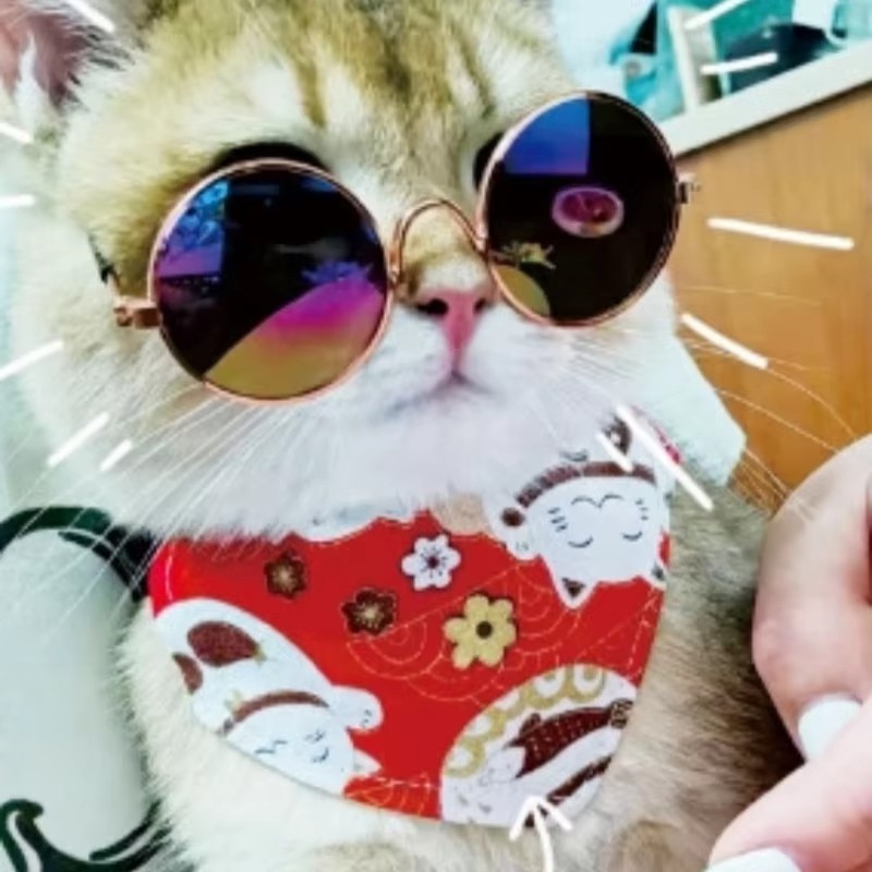 Pet Clothes Supplier - Dinosaur Transformation Fleece