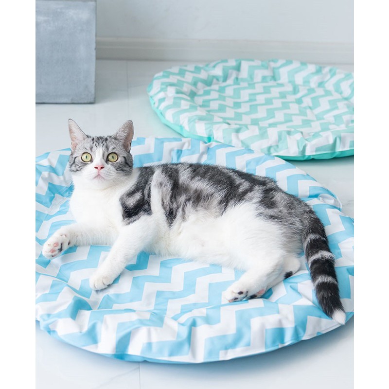 Elevated Dog Bed Manufacturer - Wooden Soft Cushion Modern