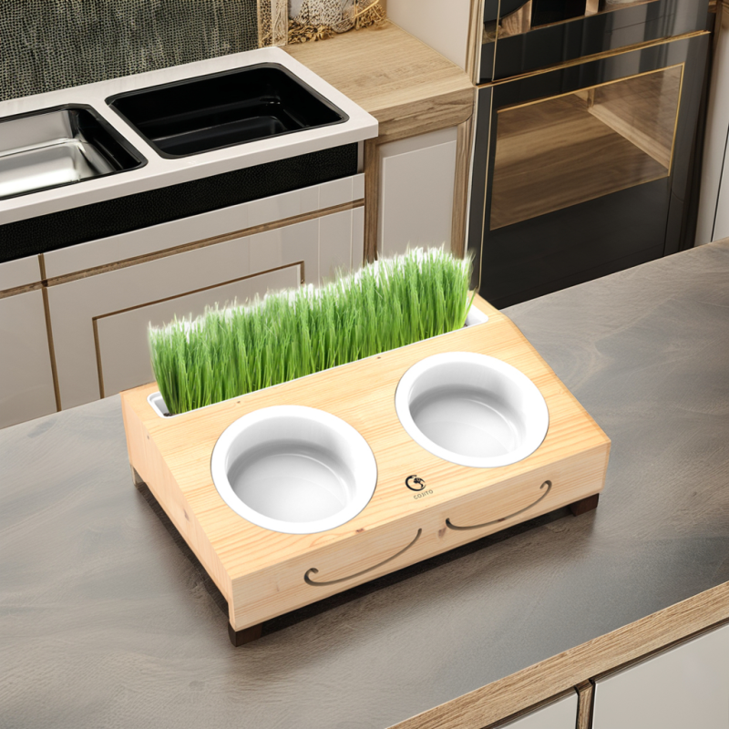 Pet Feeding Bowl Supplier - Slow Food Water Stainless Stand