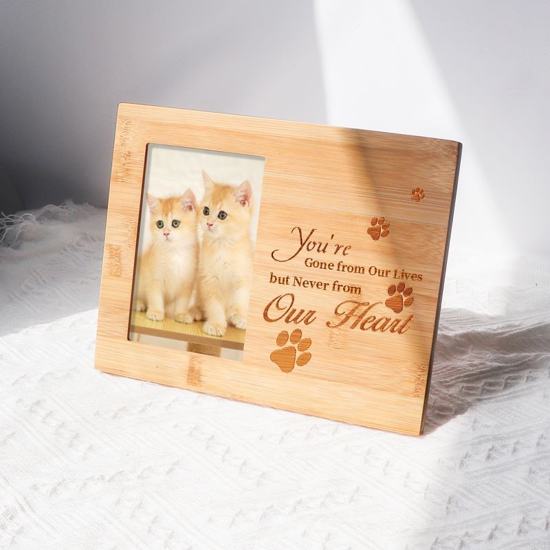 Owl Feeding House Supplier - Outdoor Wooden Windproof