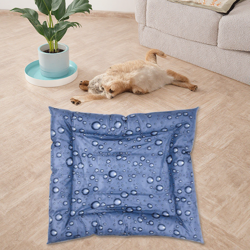 Summer Pet Bed Supplier - PVC Various Sizes Printed