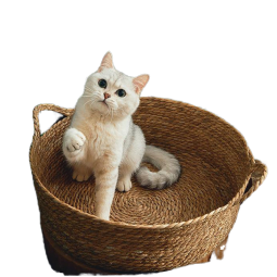 Pet Wet Wipe Manufacturer - Large Biodegradable 80 Pieces