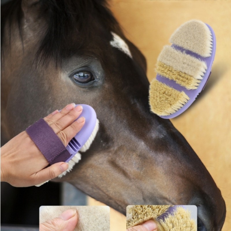 Horse Reins Supplier - Short Harness Equipment Bridle