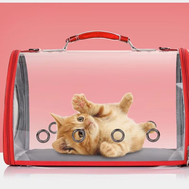 Pet Mattress Supplier - Removable Foam Four Seasons