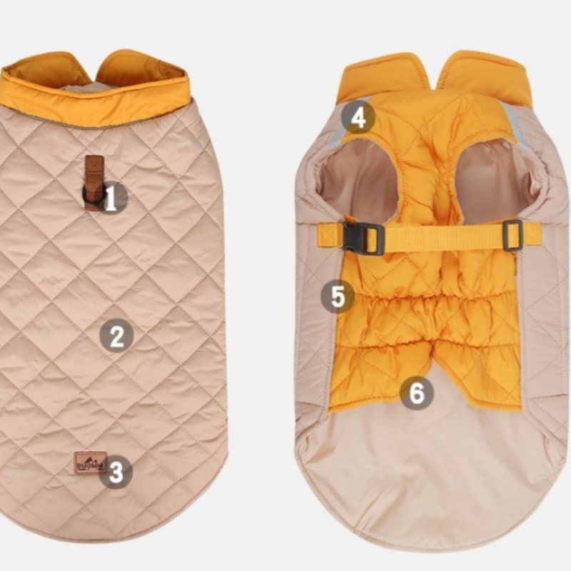 Pet Carabiner Manufacturer - 7075 Aluminum Waterproof Collar