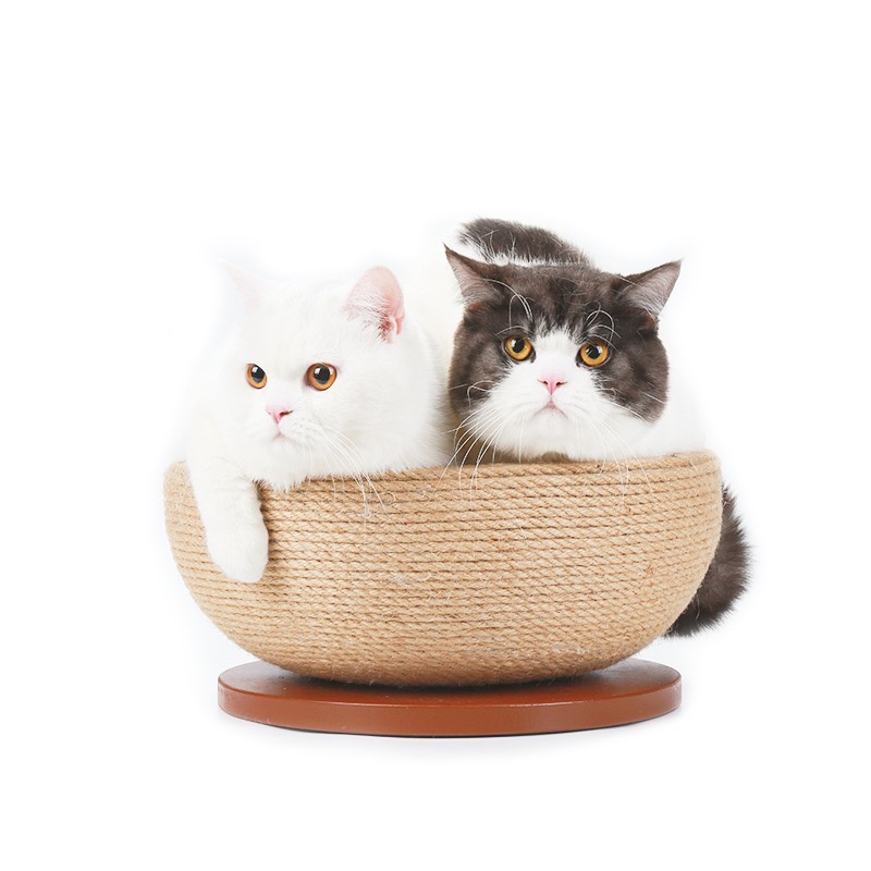Pet Scratching Post Supplier - Light Feature Wood Sisal Sleep