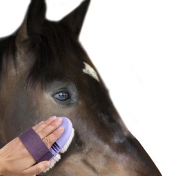 Horse Reins Supplier - Short Harness Equipment Bridle