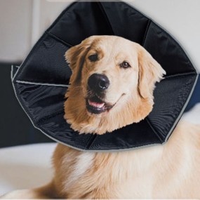 Pet Training Sheet Supplier - Disposable Cotton Bed Underpad