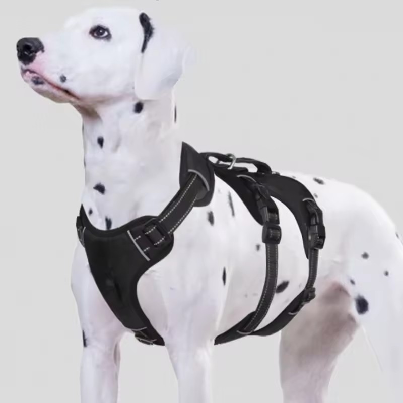 Bird Spike Supplier - 50cm Stainless Steel Pigeon Control