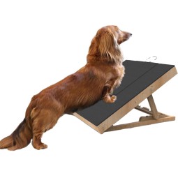 Dog Nail File Board Supplier - Bamboo Mat Hidden Snack