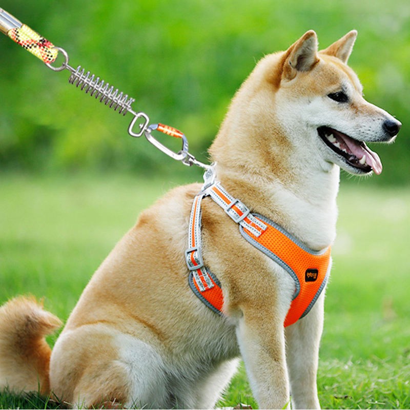 Pet Collar Clip Factory - Heavy-Duty Aluminum Animal Pattern