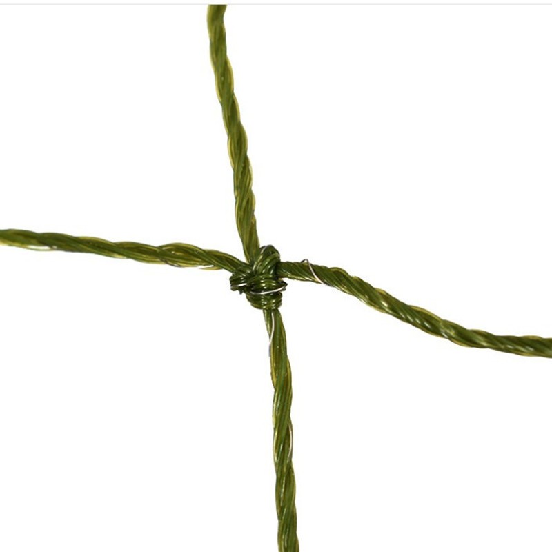 Dog Leash Carabiner Supplier - Auto Locking Colorful Aluminum