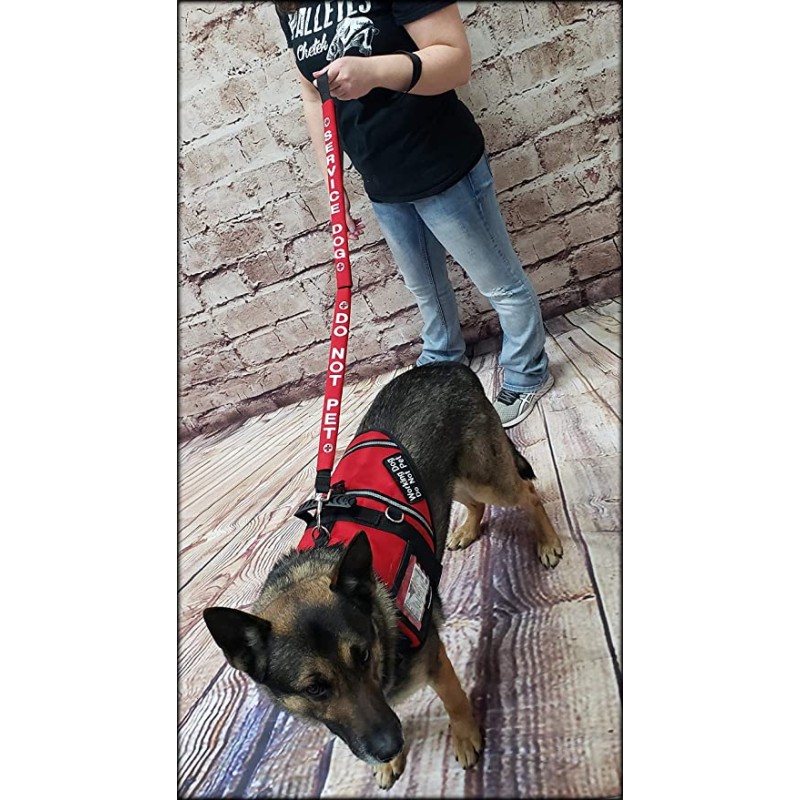 Service Dog Leash Factory - OEM Custom Leather Identification