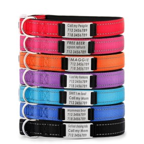 Dog Collar Factory - OEM Reflective Engraved Name Plate