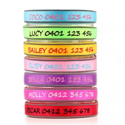 Dog ID Collar Manufacturer - OEM Embroidered Padded Neoprene