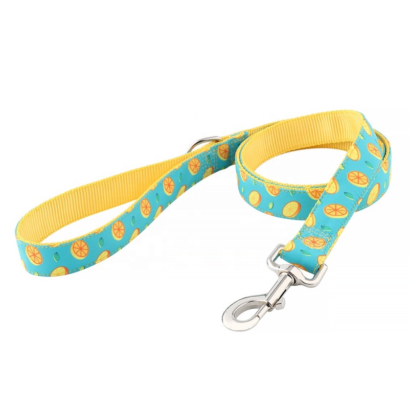 Pet Dog Leash Factory - OEM Personalized Sublimation Cute