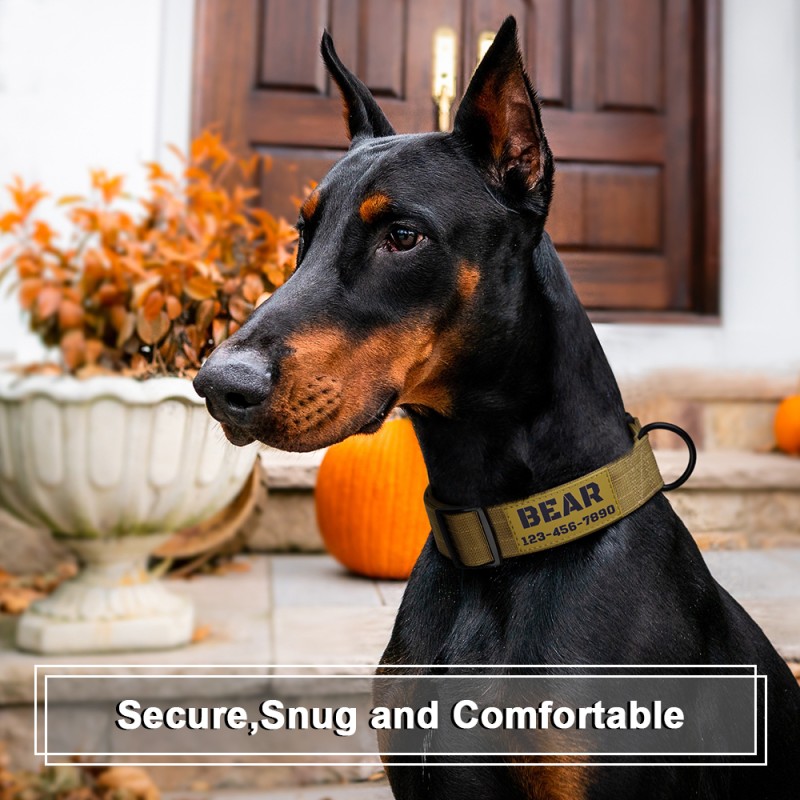 Tactical Dog Collar Manufacturer - OEM Personalized Name Number