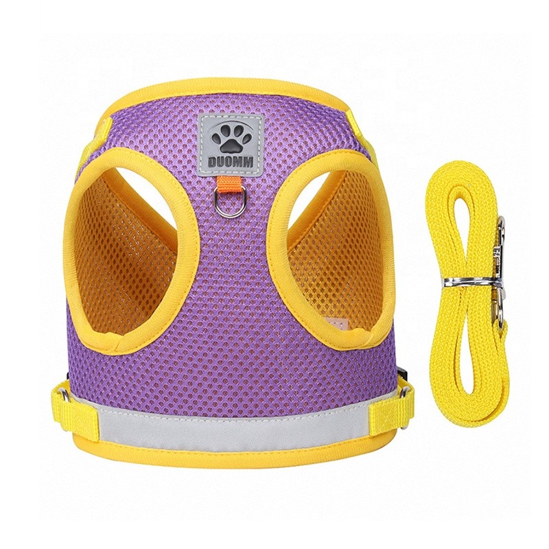 Pet Safety Set Supplier - Reflective Chest Strap Training