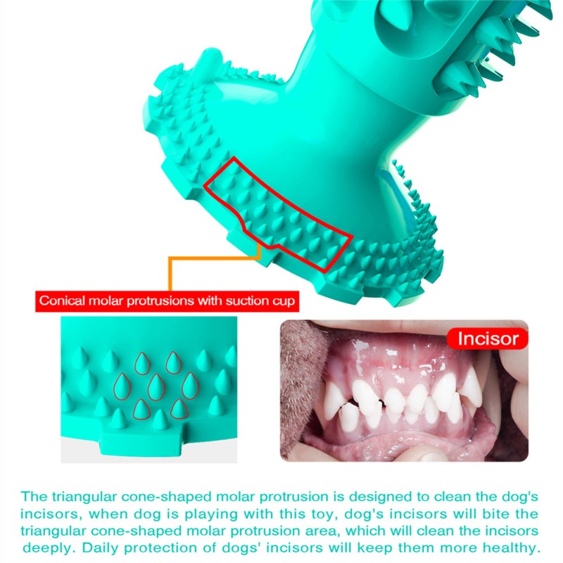 Dog Toy Supplier - Rubber Squeaky Puzzle Teeth Cleaning