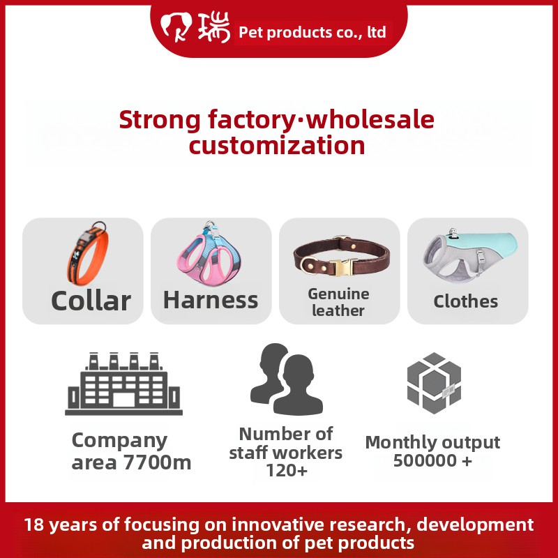 Pet Leash Manufacturer - Fashionable Polyester Harness Ribbon