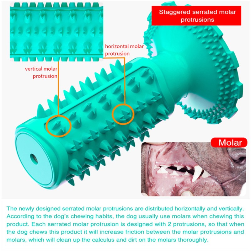 Dog Toy Supplier - Rubber Squeaky Puzzle Teeth Cleaning