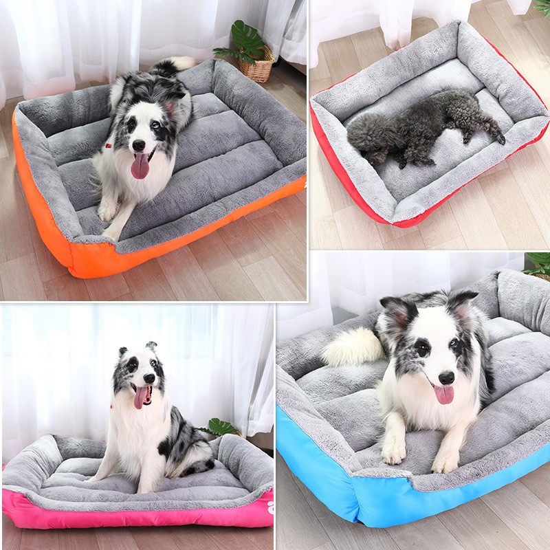 Dog Bed Manufacturer - Washable Unchewable Orthopedic