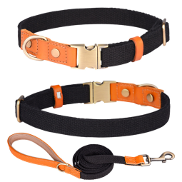 Pet Leash Manufacturer - Fashionable Polyester Harness Ribbon