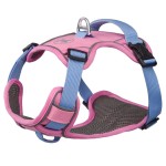 Pet harness & leash & collar