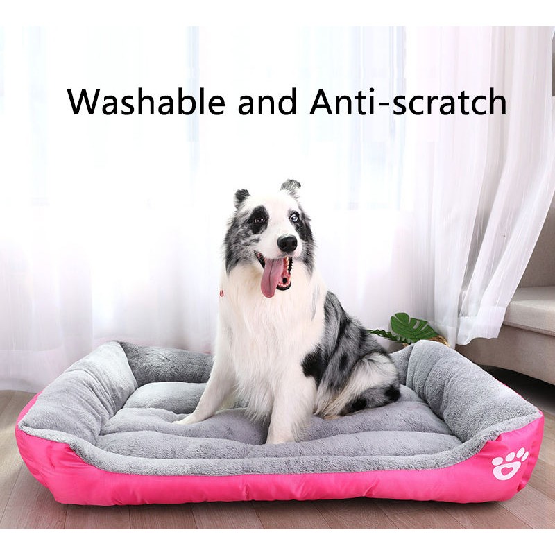 Dog Bed Manufacturer - Washable Unchewable Orthopedic